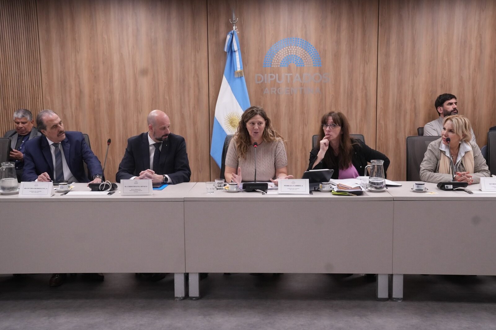 LA COMISIÓN DE TURISMO DEL CONGRESO DE LA NACIÓN ARGENTINA RECIBIÓ A REPRESENTANTES DEL SECTOR QUIENES EXPUSIERON SOBRE LAS POLÍTICAS DESREGULATORIAS DEL GOBIERNO NACIONAL