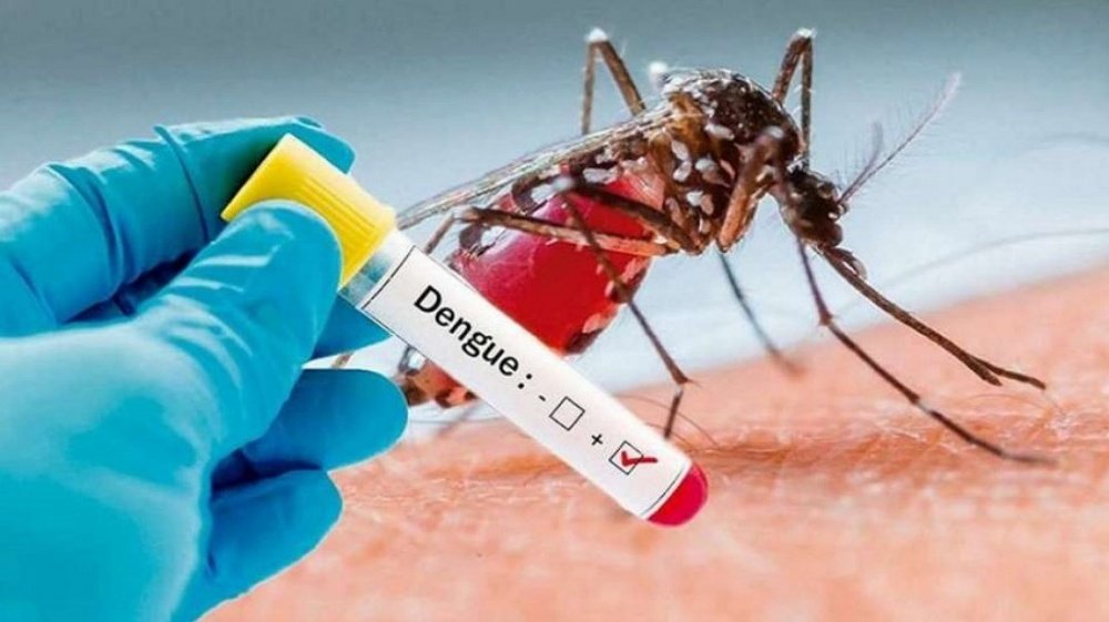 Detectan los primeros casos de dengue en la provincia y alertan sobre la importancia de la prevención