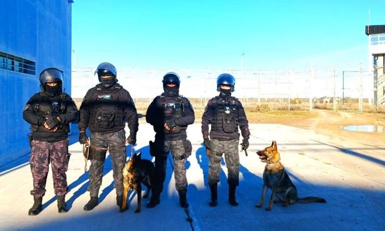 Trelew: Con importantes resultados, la sección Canes de la Policía del Chubut cumplió tareas en una requisa en el IPP