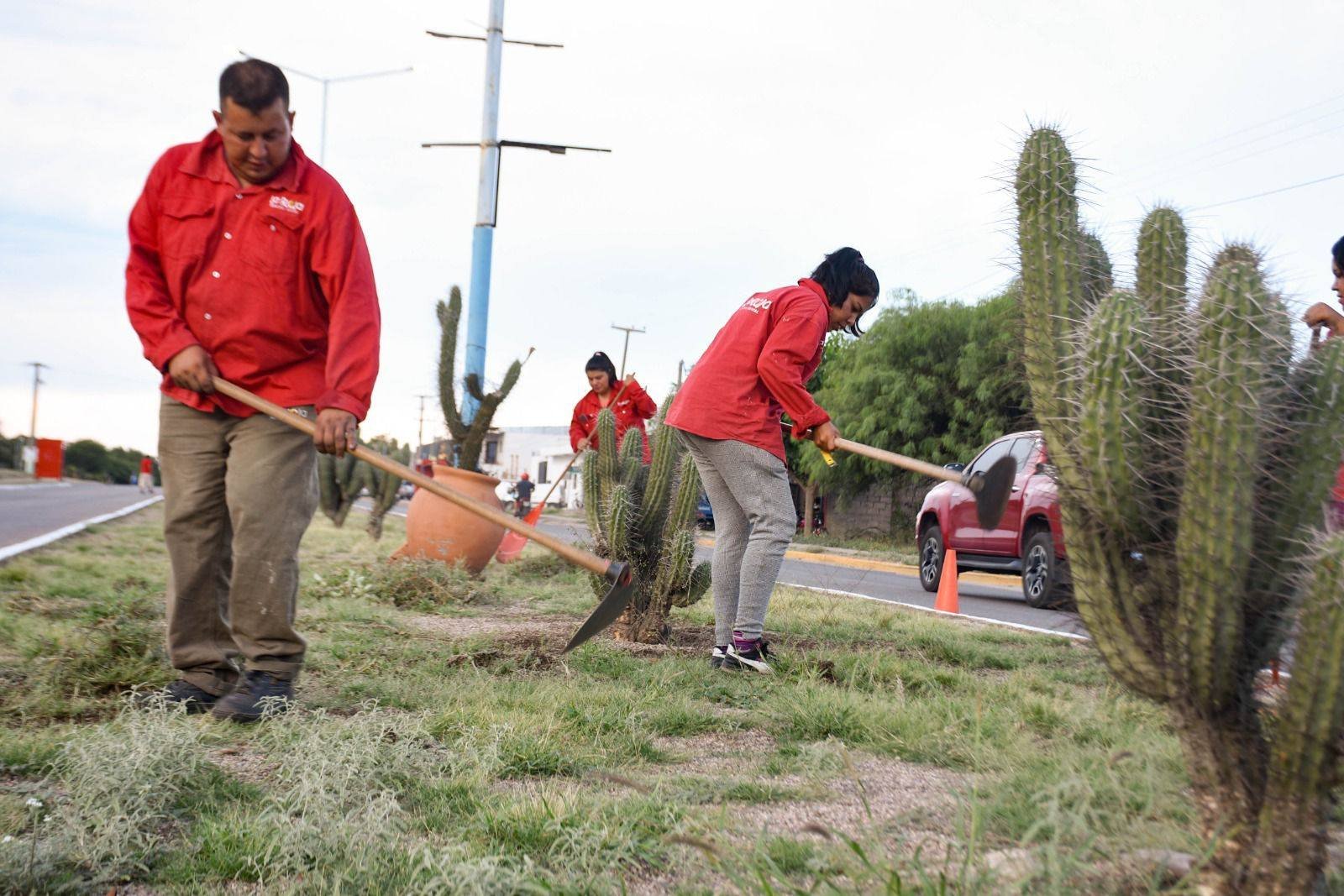 El municipio efectuó un nuevo operativo de limpieza en zona sur