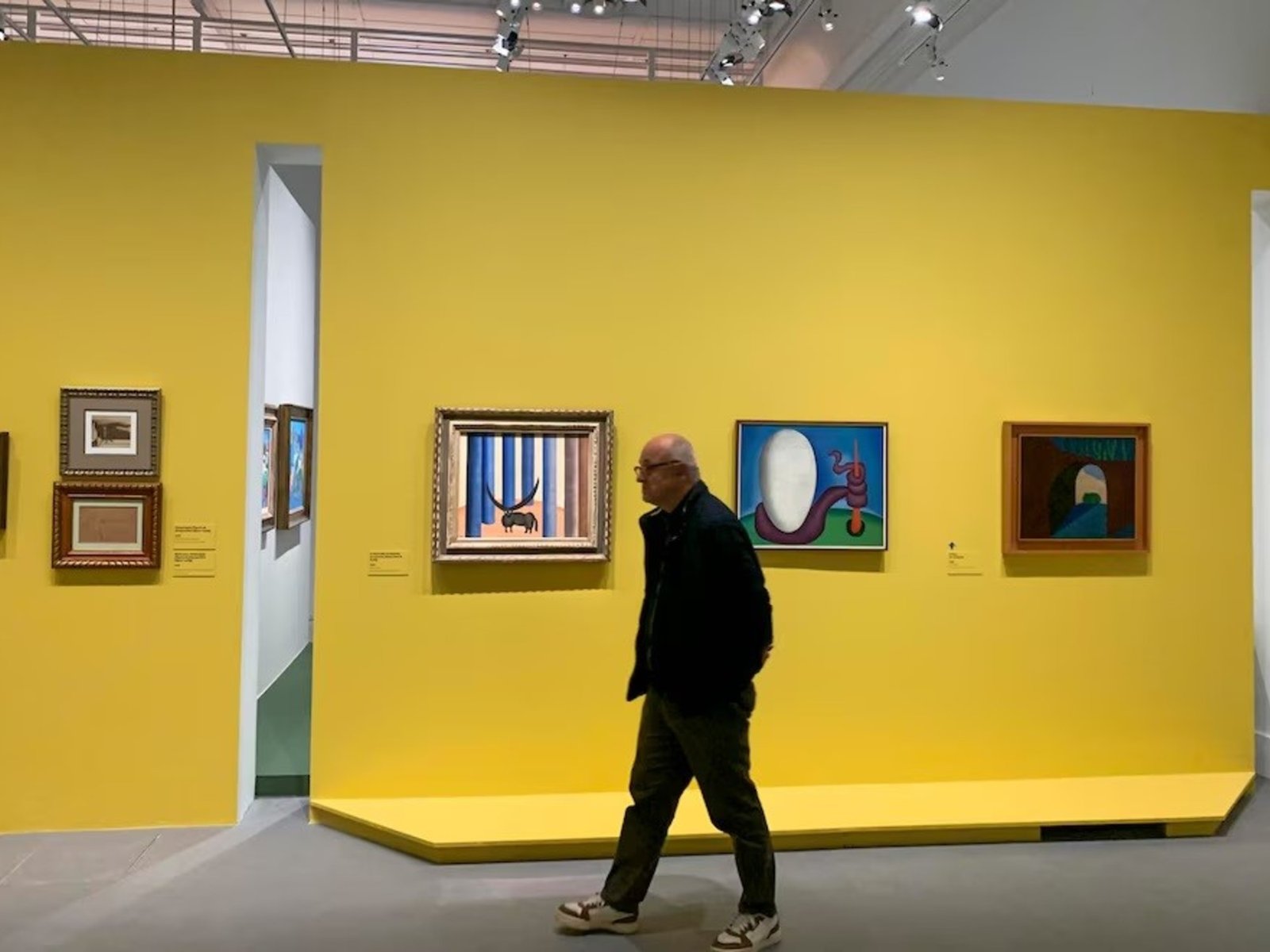 La brasileña Tarsila do Amaral inaugurará la programación 2025 del Guggenheim