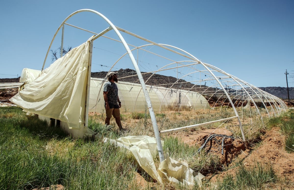 La escasez de agua en Sudáfrica y el difícil acceso a licencias afecta a los agricultores negros y blancos | Planeta Futuro