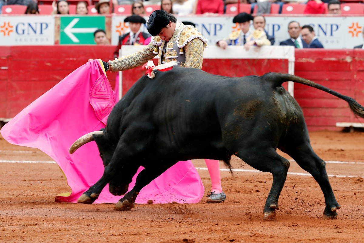 Sin sangre o crueldad: la propuesta de Clara Brugada para las corridas de toros “sin violencia” en Ciudad de México