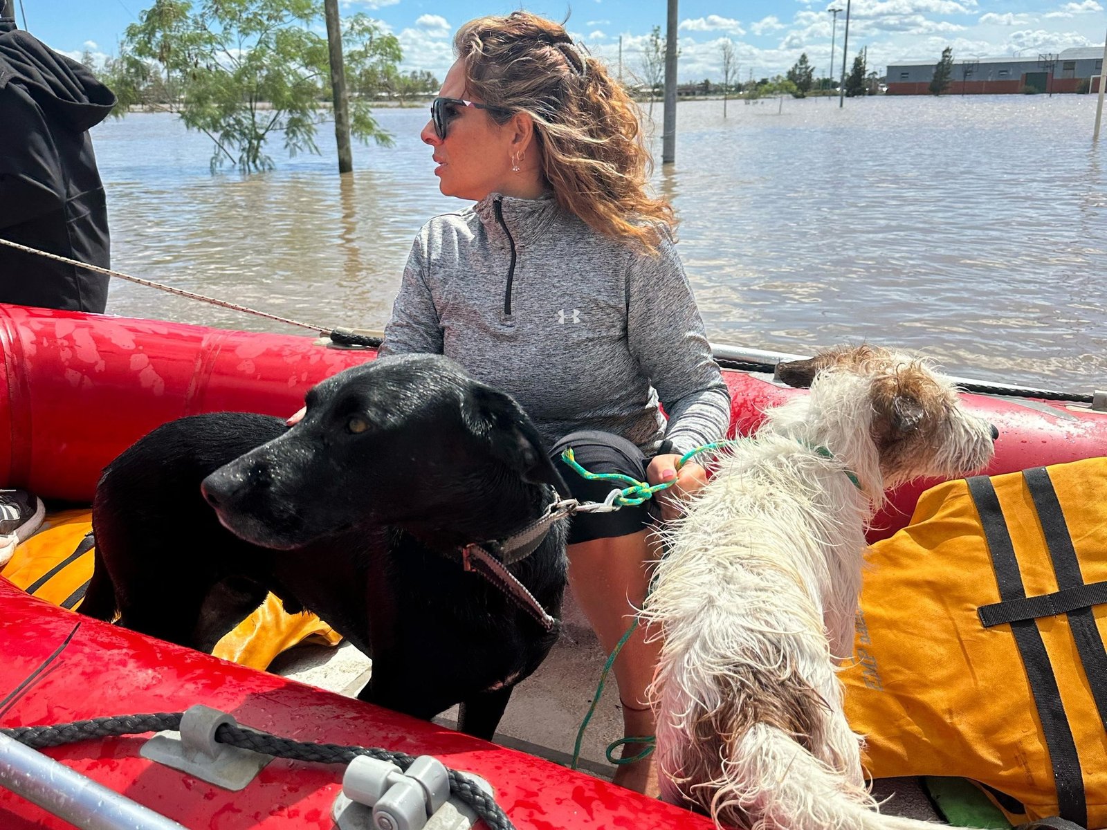 la anciana que no quería dejar a “Cuki” y la perrita que flotaba en una heladera con 7 cachorros