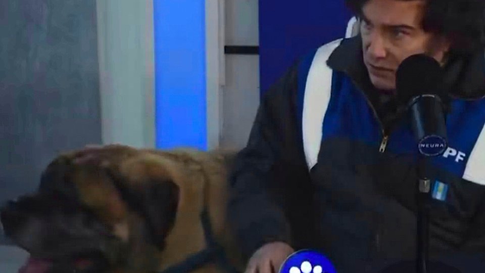 Javier Milei apareció con su perro Conan en un programa de streaming | El Presidente presentó a uno de sus cinco mastines ingleses