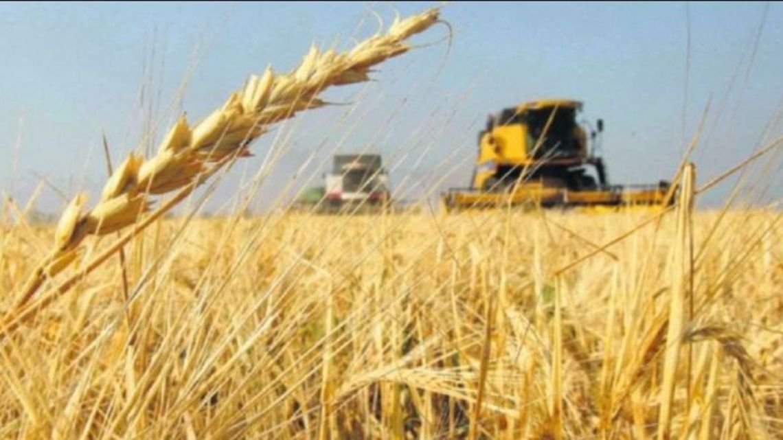 La Rural reclamó "reglas claras" para el campo y que se emprenda un "camino de eliminación definitiva" de las retenciones