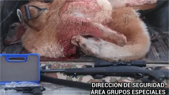 Secuestran carne de guanaco y armas en un control rural cerca de Comodoro Rivadavia
