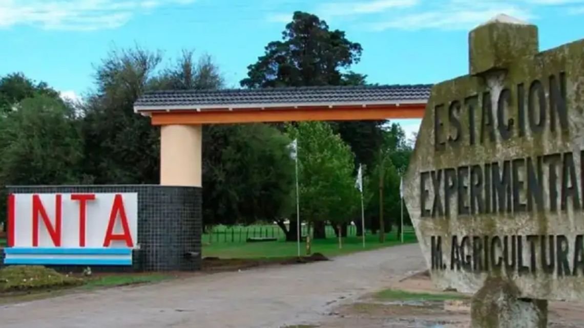 Ajuste en el INTA: con los cambios propuestos se perdería conceptos exitosos como la autarquía o la investigación por regiones