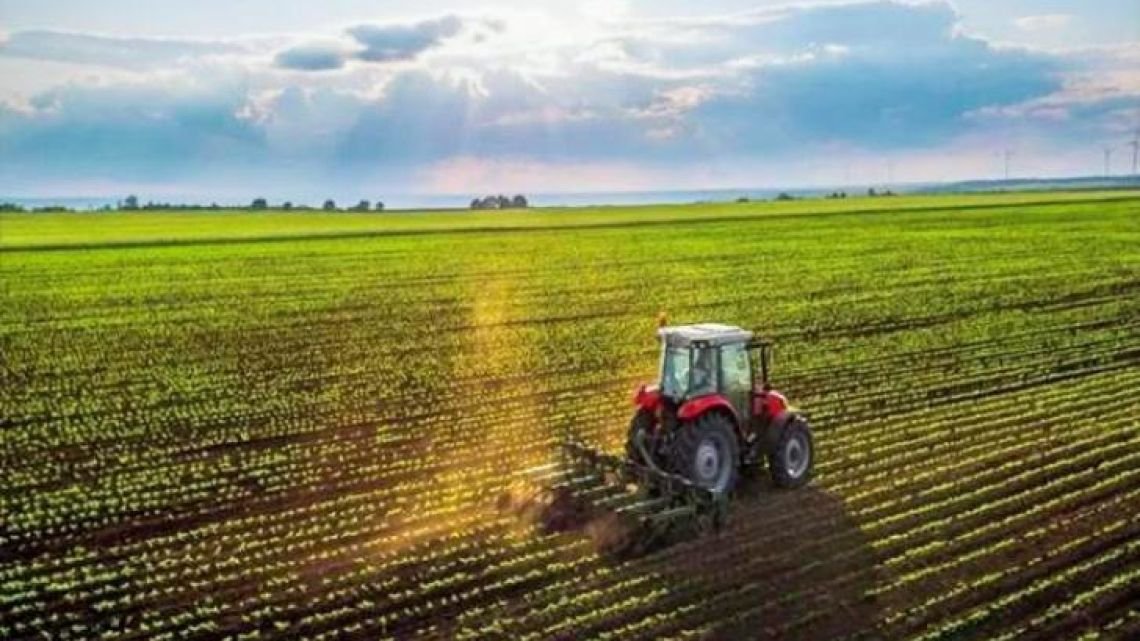 «Alarma en el campo»: duro documento de la Sociedad Rural de Rosario por la «asfixiante presión impositiva»