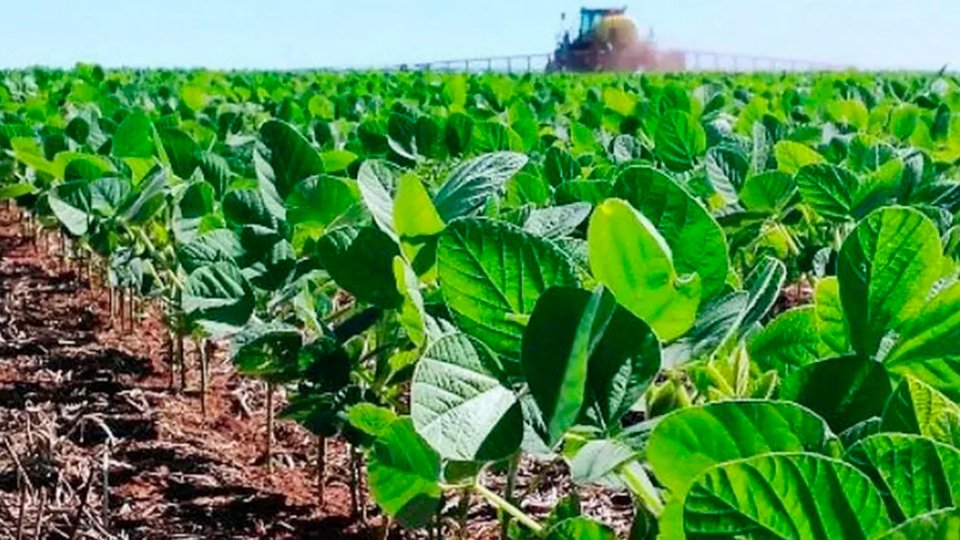 Aportes para un programa agrario