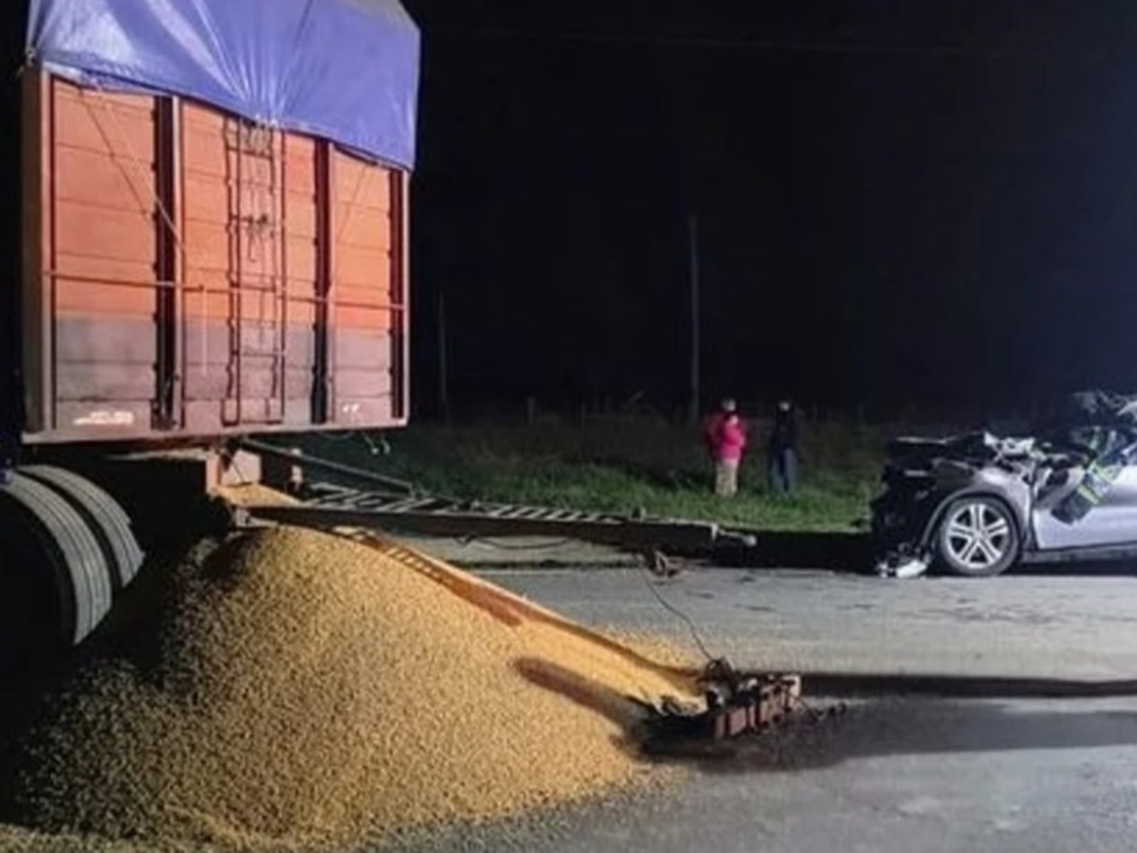 Deberá volver a la cárcel el camionero que causó una tragedia en la ruta 88