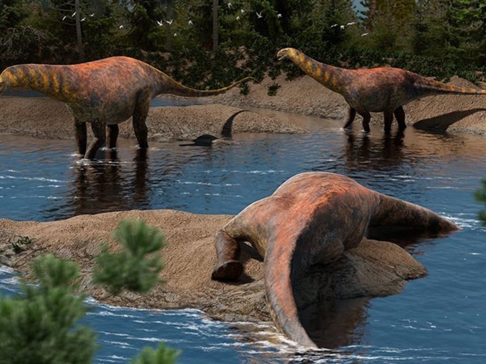 Descubrieron en Neuquén una nueva especie de dinosaurio que vivió hace 95 millones de años