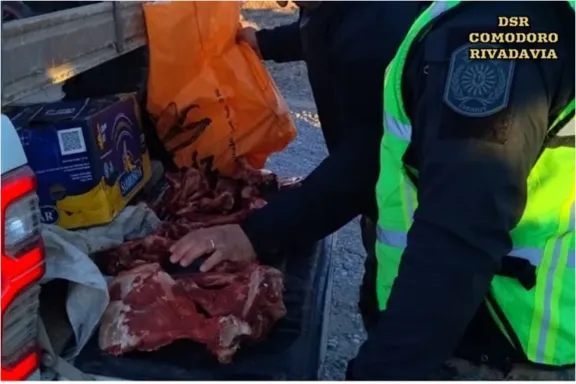 Detectaron caza furtiva de guanacos en un control sobre la Ruta 26