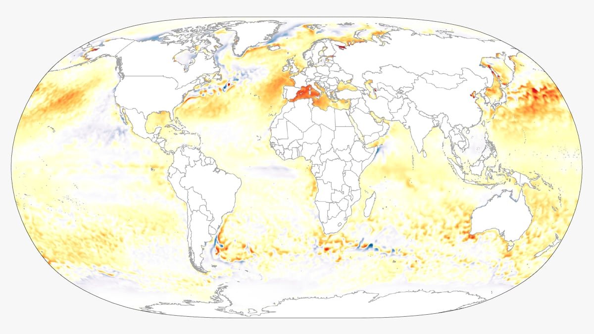 El mar Mediterráneo se tropicaliza: agua a 30 grados, noches tórridas y llegada de especies invasoras | Clima y Medio Ambiente