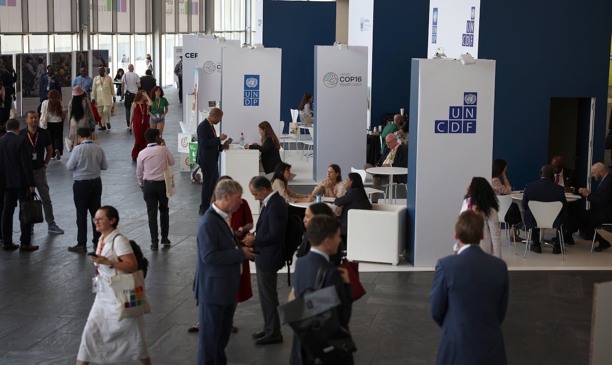 El sector privado, ¿pieza clave ante el “reseteo humanitario”?: una mirada desde España | Planeta Futuro