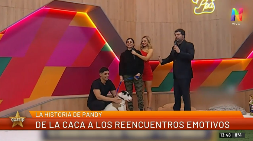 Guido Kaczka cambió su polémico juego ‘del pis y la caca’ por reencuentros emotivos de perros perdidos: El motivo