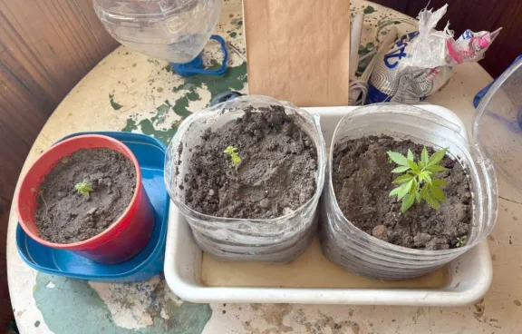 La policía allanó en Rawson una casa por  un robo y terminó encontrando drogas 
