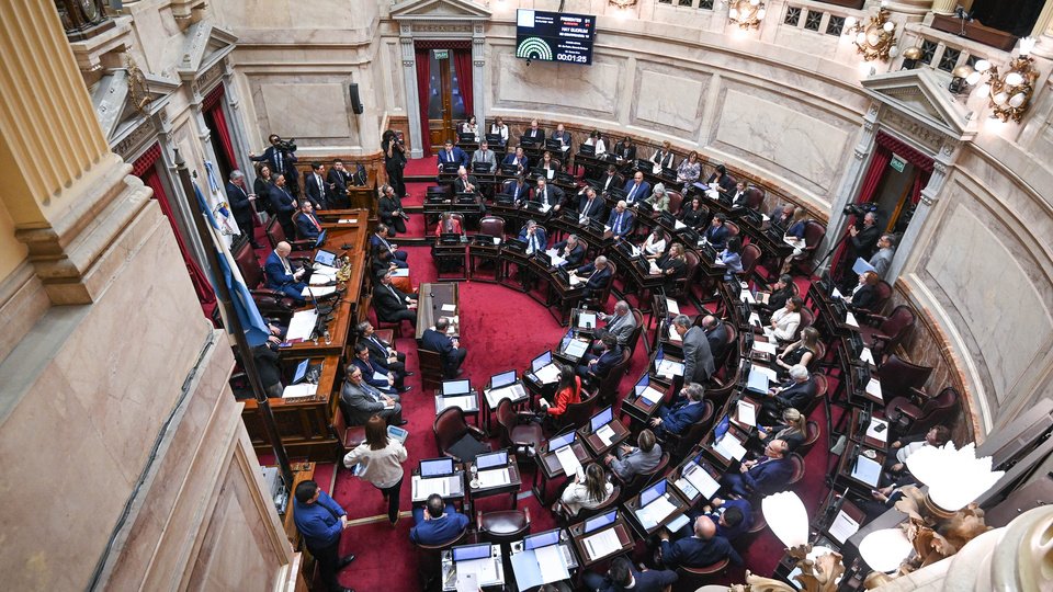 La rebelión que se cocina en el Senado contra el plan motosierra