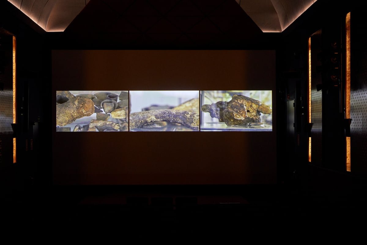 La resistencia sudamericana en videoarte aterriza en el Reina Sofía de Madrid | Cultura