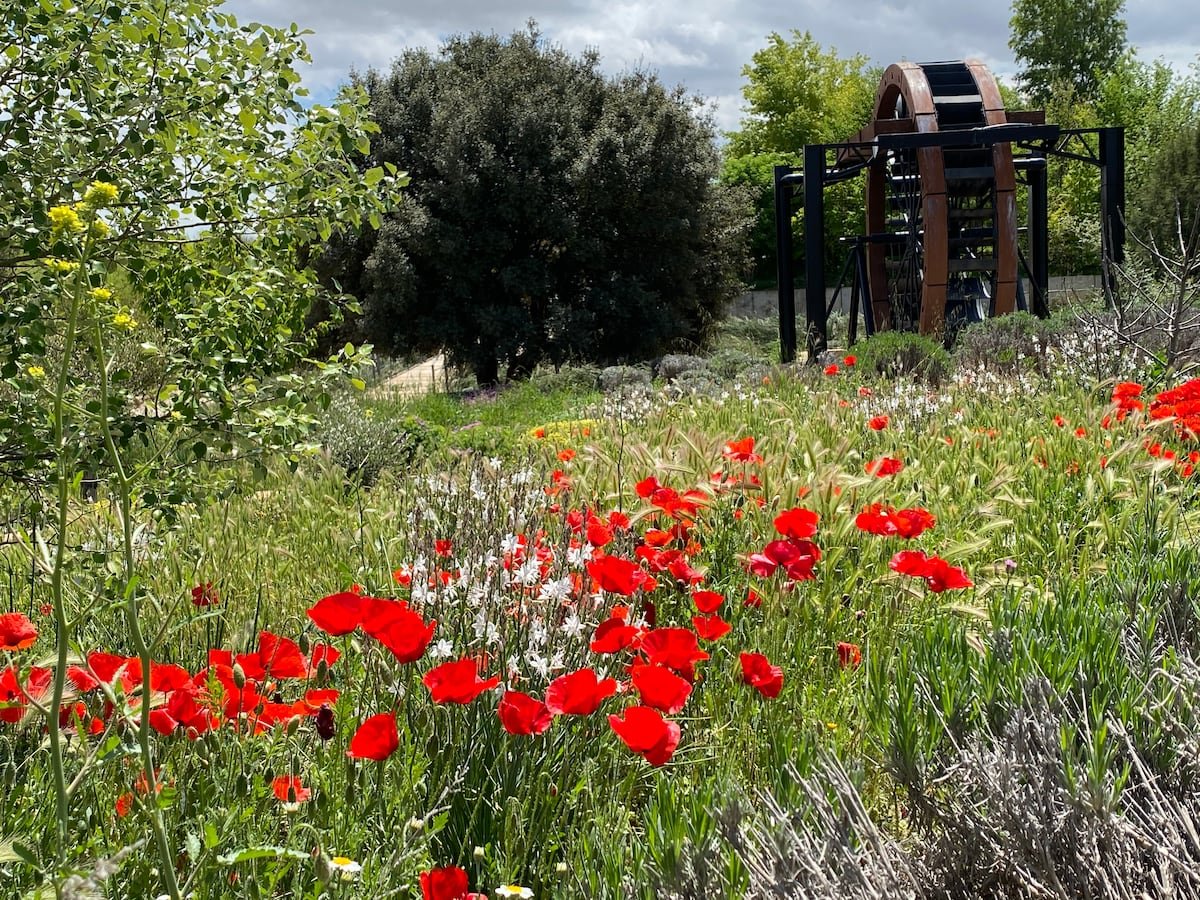 Parques urbanos sin químicos que combaten las plagas con insectos y murciélagos | Clima y Medio Ambiente