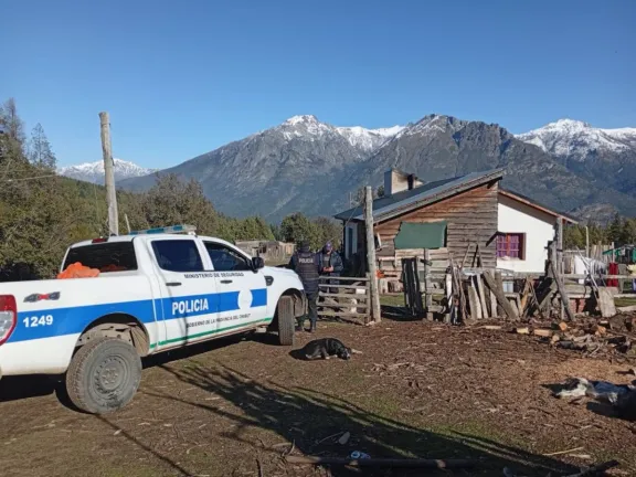 Secuestraron armas, municiones y animales vinculados al abigeato y a la caza furtiva en la Comarca Andina