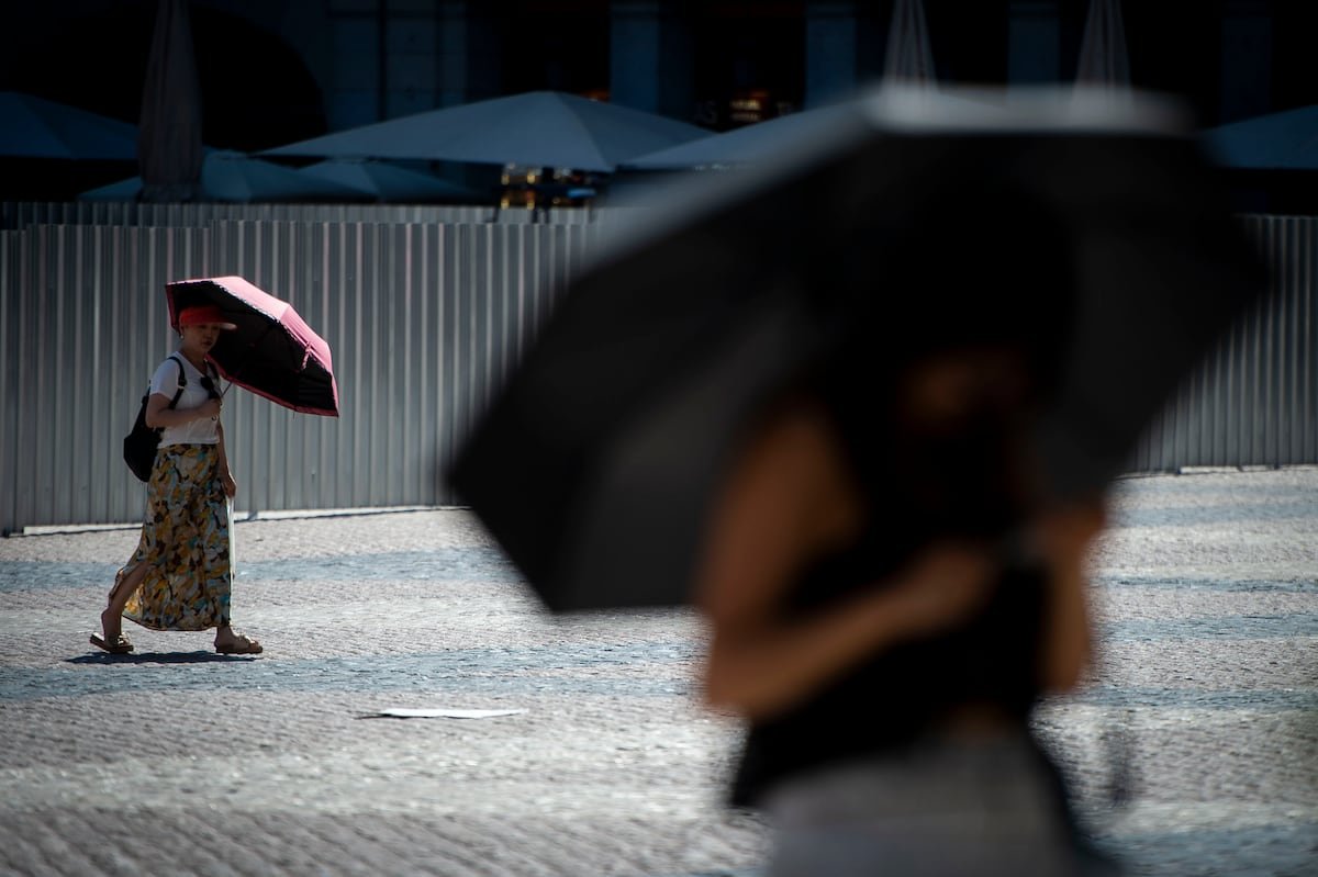 Un estudio cifra en 458 las muertes que se cobró la última ola de calor solo en Madrid y Barcelona | Clima y Medio Ambiente