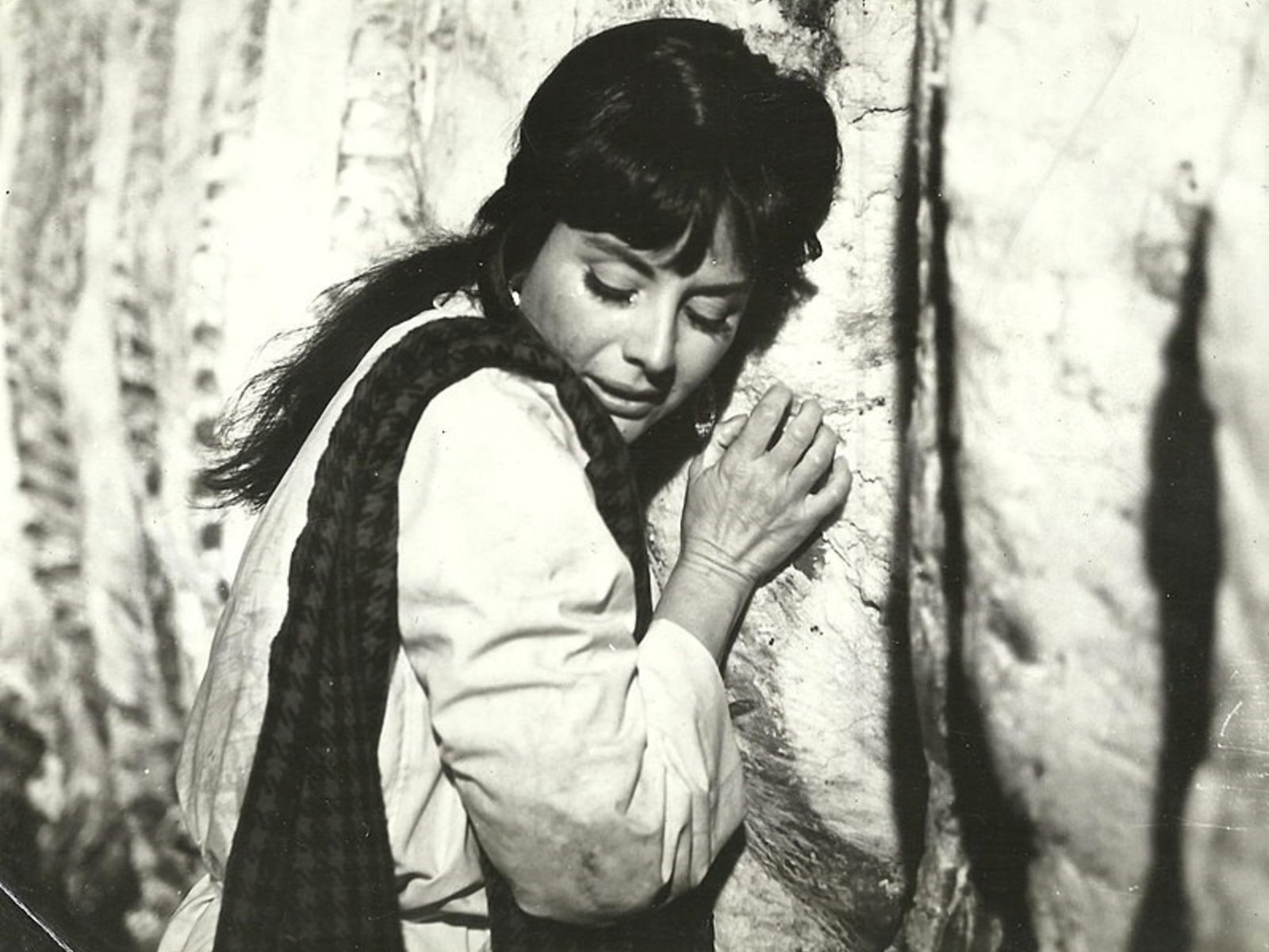 Una exposición que desentraña la carne como símbolo nacional