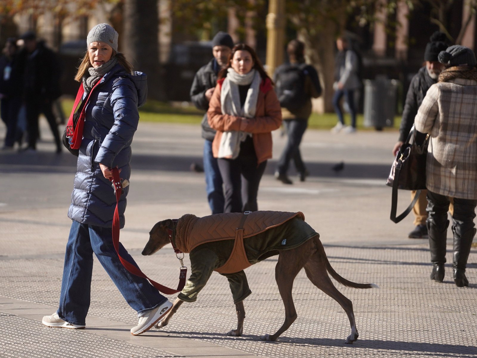 cuándo llegará y qué temperatura se espera para la semana