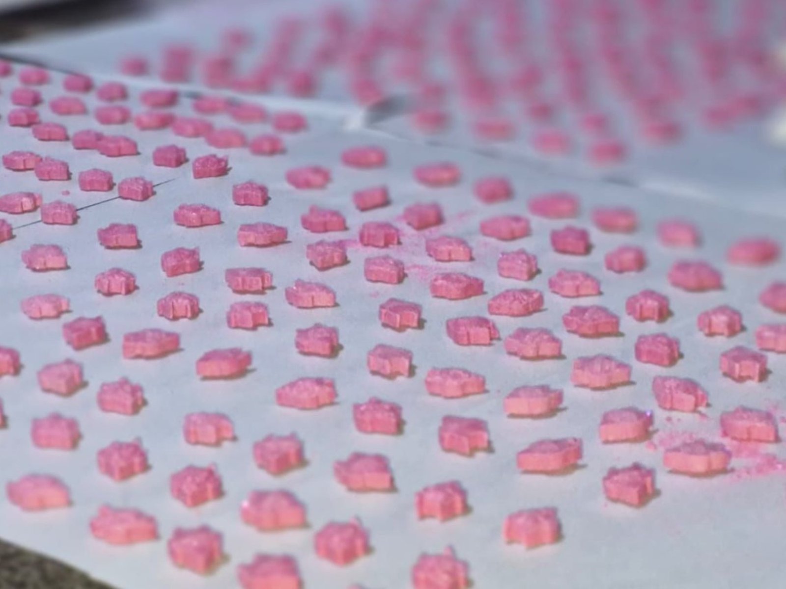 desmantelan un laboratorio que producía más de 13 mil pastillas en el GBA