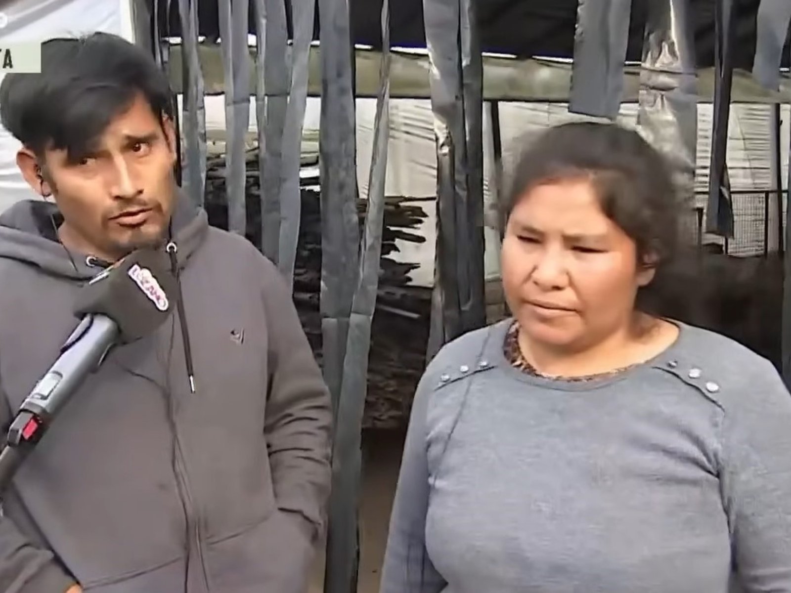 hablaron los dueños de los perros que habrían matado al nene de dos años de La Plata