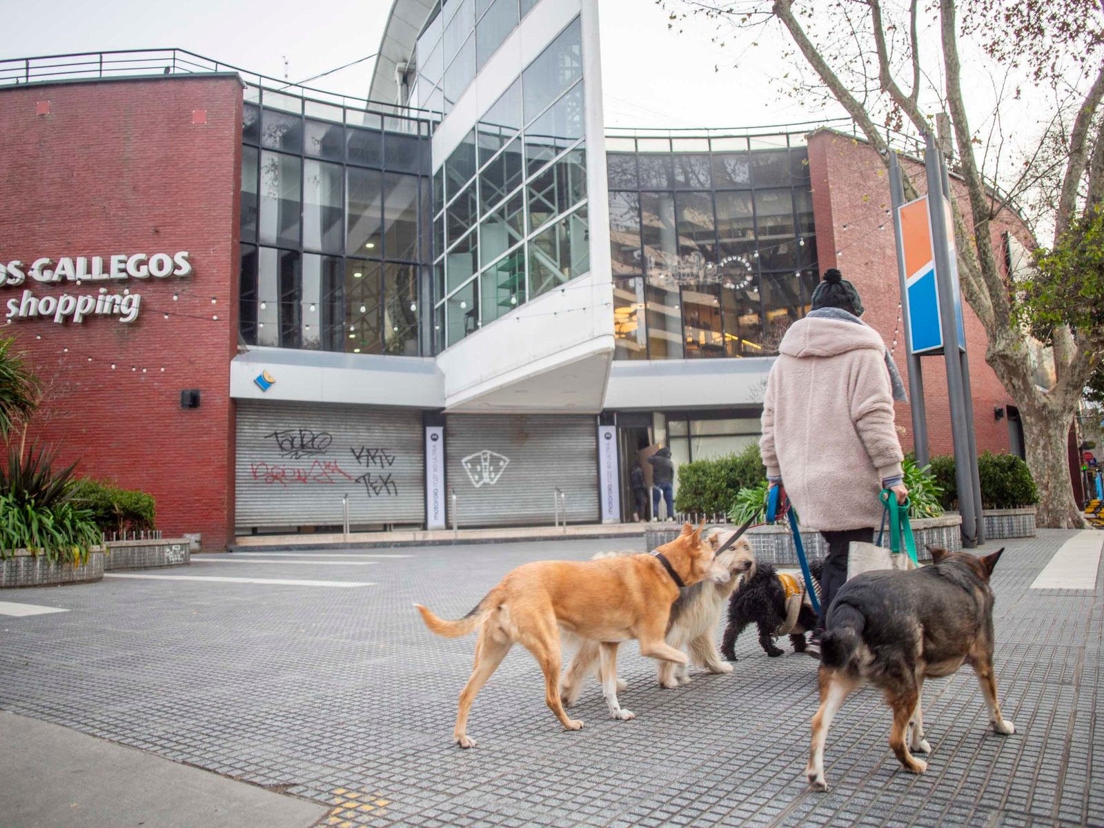 la ciudad amaneció semi paralizada y cómo va a ser la reconexión