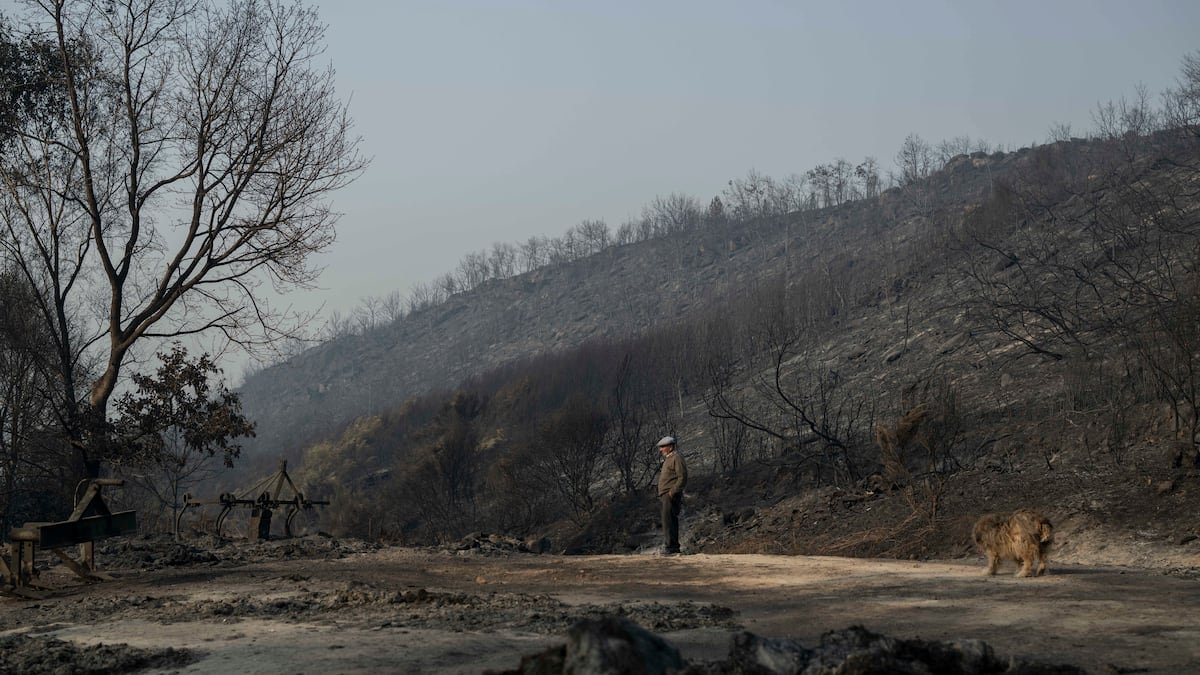 Última hora de los incendios en España, en directo | Una decena de incendios sin control complica el inicio del puente de agosto | España