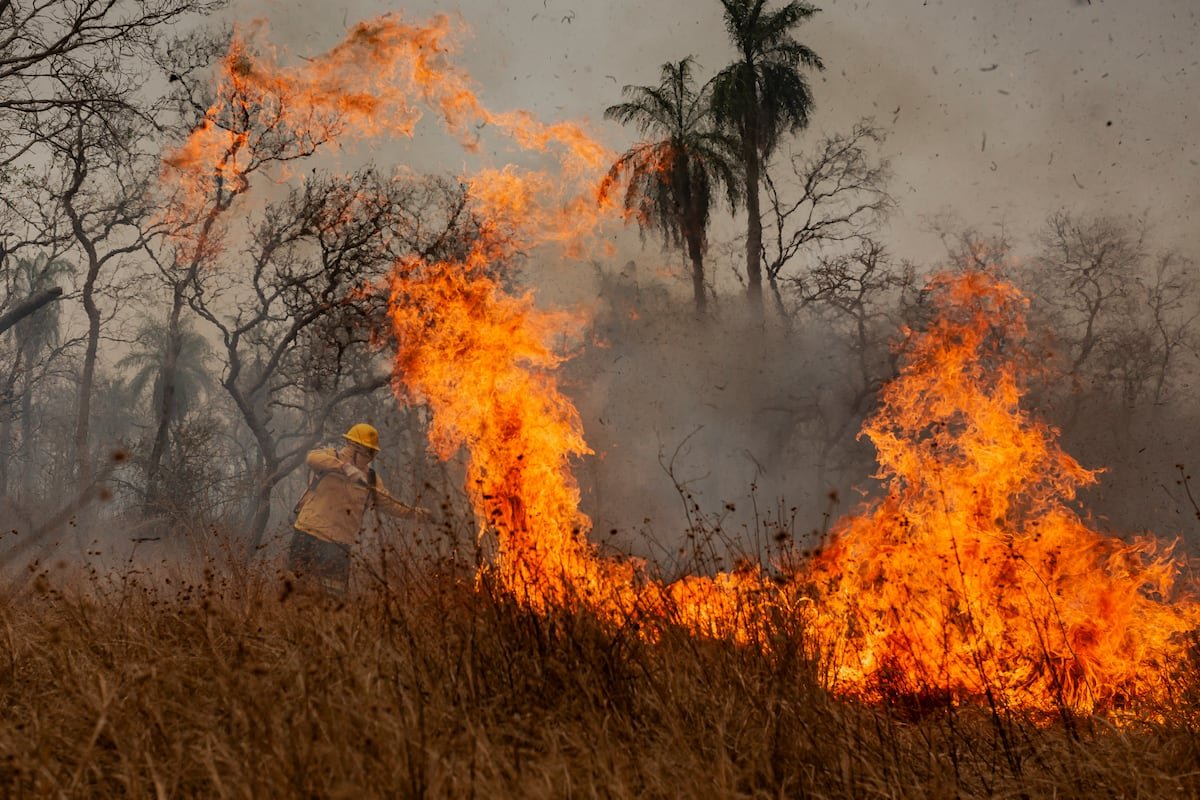 Bomberos Agroforestales de las Américas: Una nueva generación de bomberos contra el fuego que no respeta fronteras: Una nueva generación de bomberos contra el fuego que no respeta fronteras | Planeta Futuro