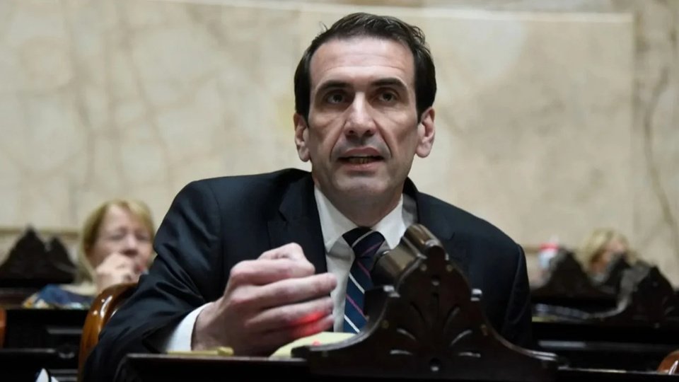 Cervi, un radical con peluca que será candidato de La Libertad Avanza | El diputado buscará ser senador por Neuquén en la lista de Milei