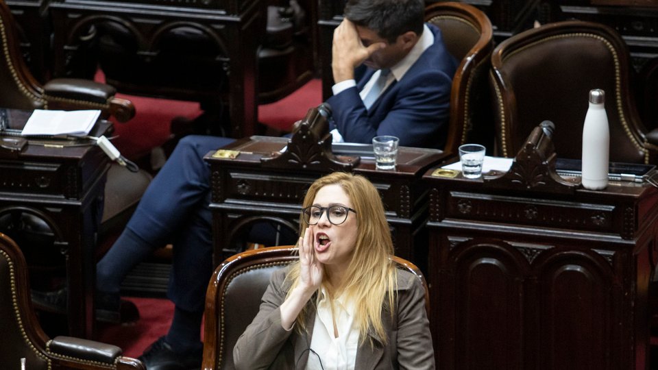 Lilia Lemoine y Marcela Pagano se cruzaron a los gritos en el Congreso | Nuevo bochorno legislativo
