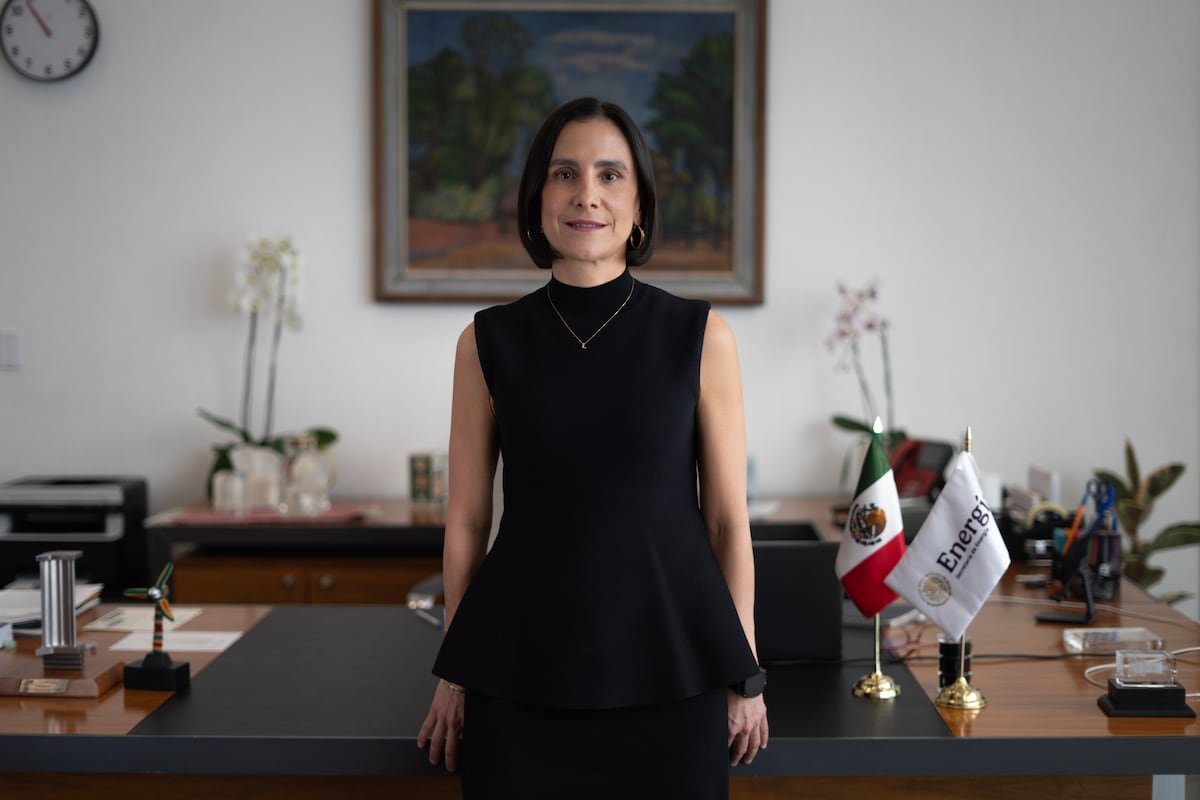 Luz Elena González: “No estamos en contra de la inversión privada, es fuente importante del desarrollo de México”