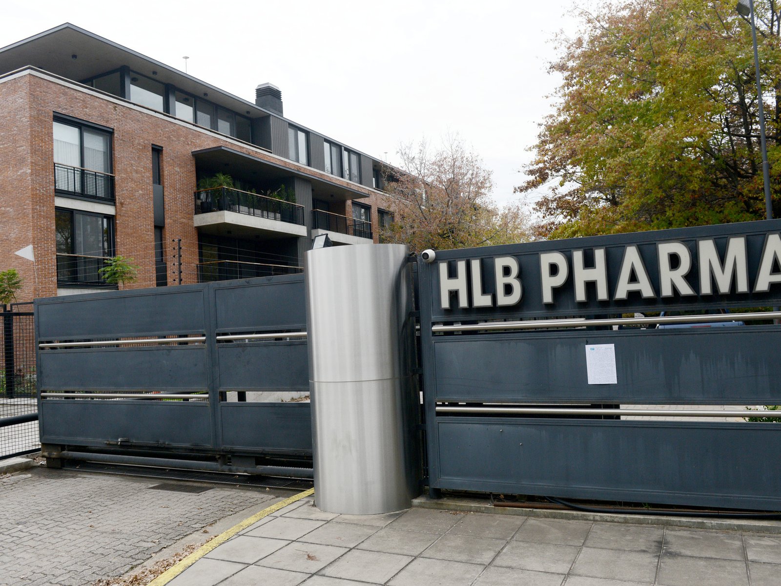 qué dice el informe de la ANMAT sobre el batch record y las fallas de HLB Pharma