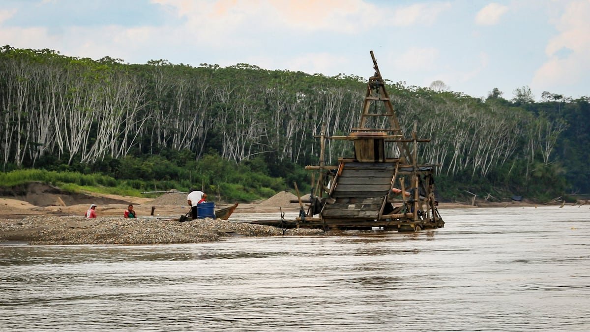 Así crea la minería de oro a pequeña escala “grandes zonas de sacrificio por mercurio” en América Latina | América Futura