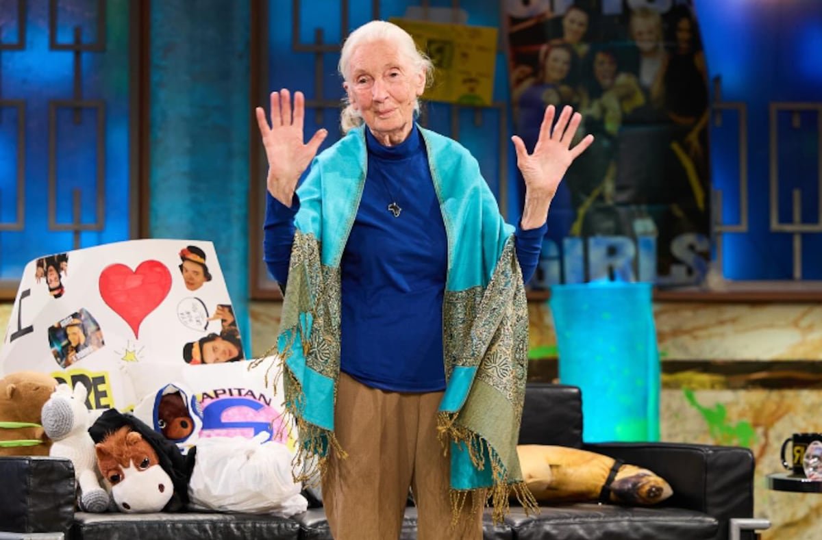 Así recordó Jane Goodall en ‘La revuelta’ cómo fue el abrazo más especial de su vida con un chimpancé al que rescató: “Es un misterio” | Televisión