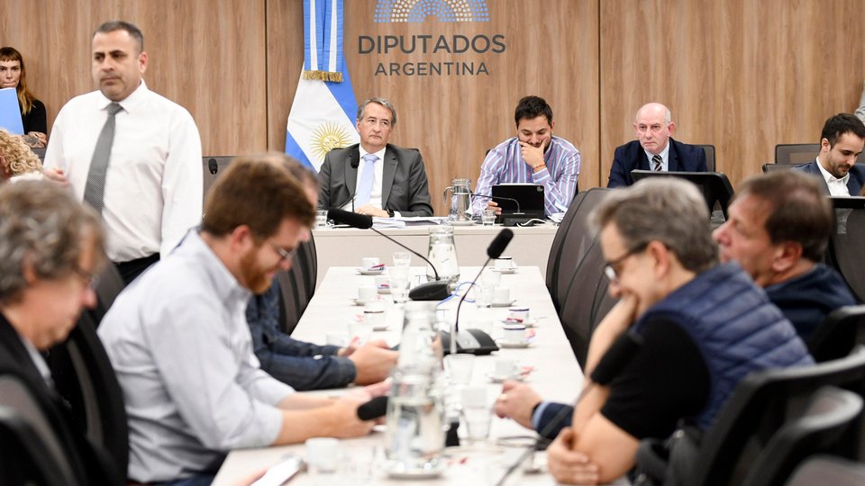 Diputados va por la modificación de la ley de DNU | Los libertarios calificaron el proyecto como “un alzamiento contra la Constitución Nacional”.