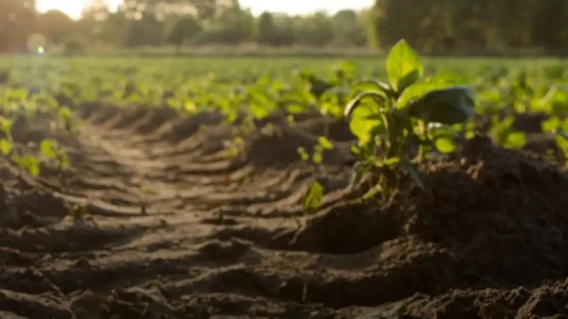 Disconformidad en el agro por la presentación del anteproyecto de la Ley de Suelos presentado por el CIAFBA