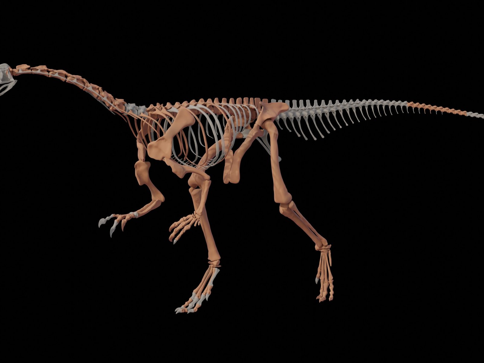 Encontraron en La Rioja una nueva especie de dinosaurio y es uno de los más antiguos del mundo