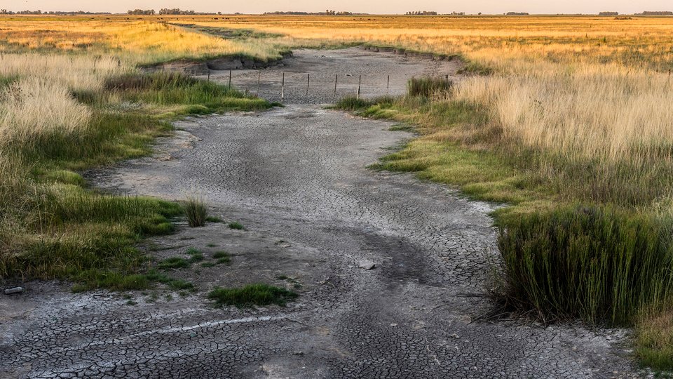 La Forestal y La Casado: historias paralelas 