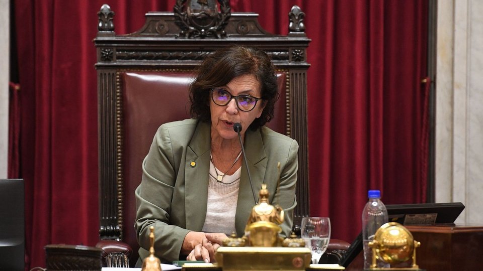 «Lo que está en juego es la soberanía nacional» | Entrevista con la senadora de Fuerza Patria por Neuquén, Silvia Sapag