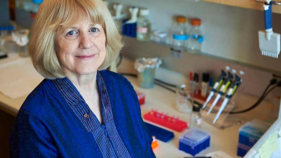 Mary-Claire King recibió el premio Princesa de Asturias por sus aportes a la ciencia | Ayudó a las Abuelas de Plaza de Mayo a encontrar a sus nietos y nietas