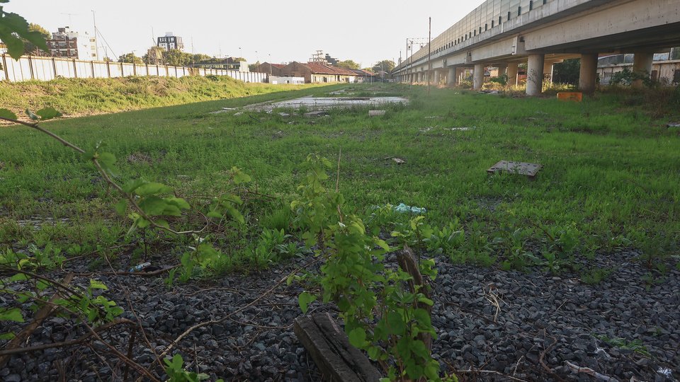Milei acelera el desguace del Estado | El gobierno puso en venta el terreno destinado al primer museo de ciencia y tecnología del país