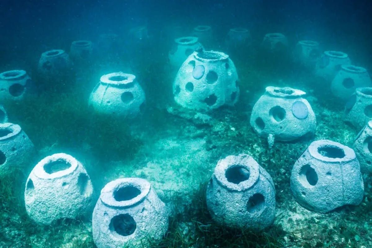 Muerte verde: las opciones de las funerarias para que la última huella no sea de carbono | América Futura