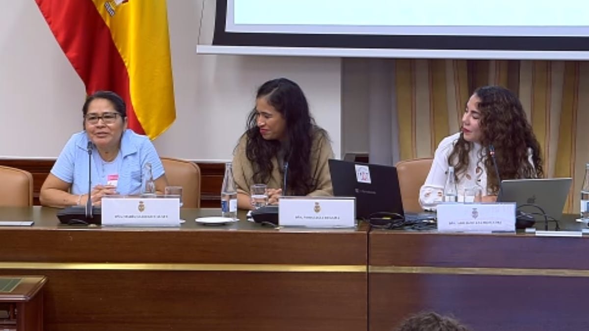 Mujeres solicitantes de asilo cuentan en el Congreso las trabas administrativas que han puesto en peligro su supervivencia en España | España