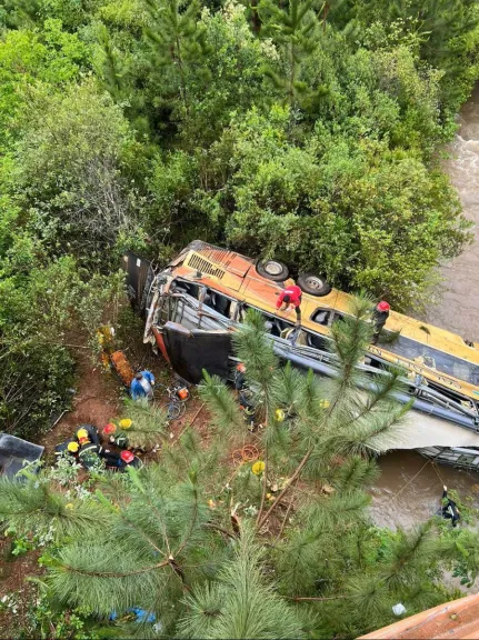 Tragedia en Misiones: Siete muertos tras la caída de un micro a un arroyo