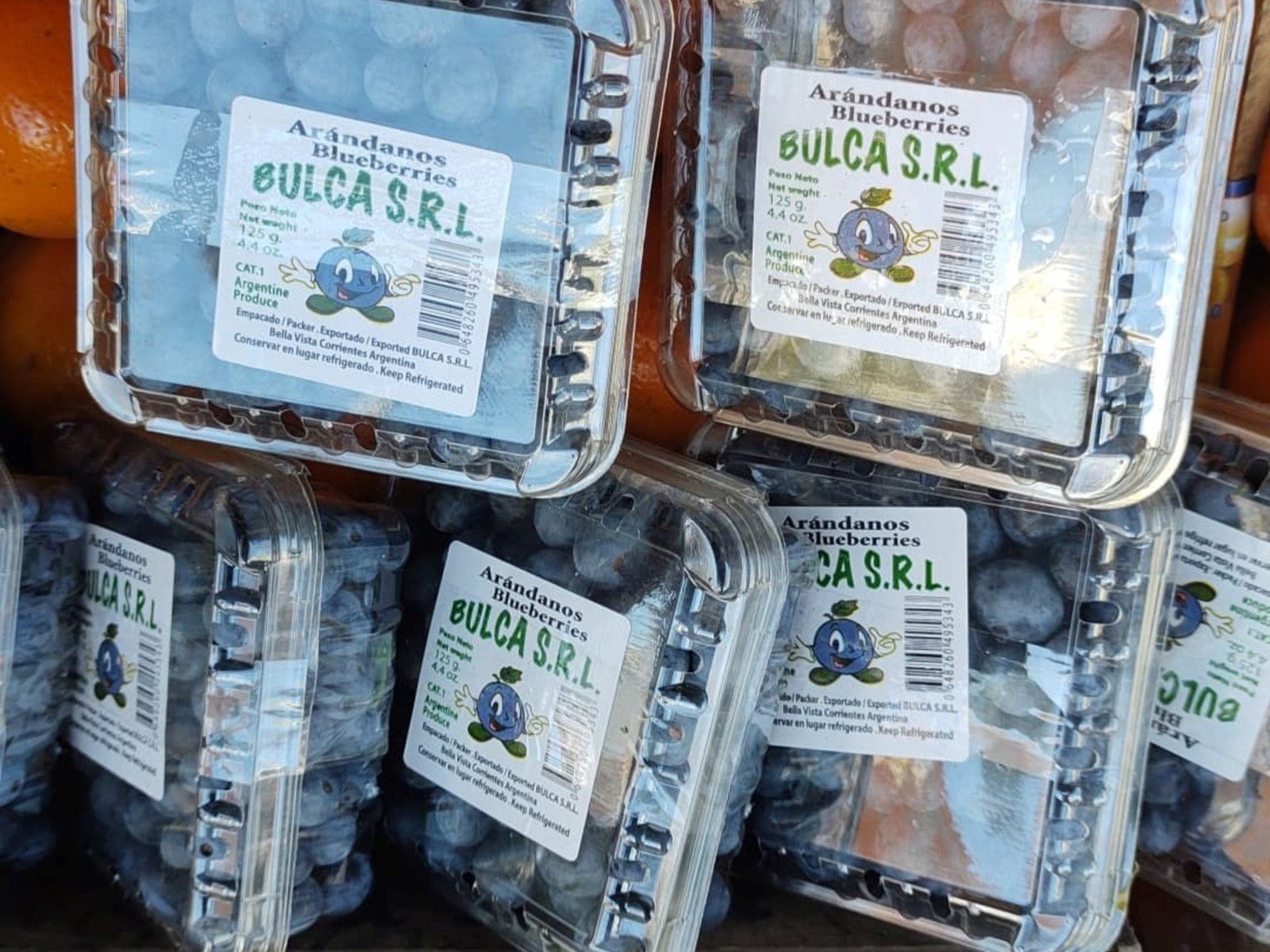 Un banco deberá indemnizar por $ 63 millones a una Pyme productora de arándanos que fue víctima de una estafa